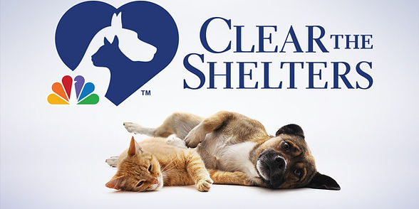 Clear the shelters image.jpg