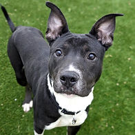 20250114145452 (1).png