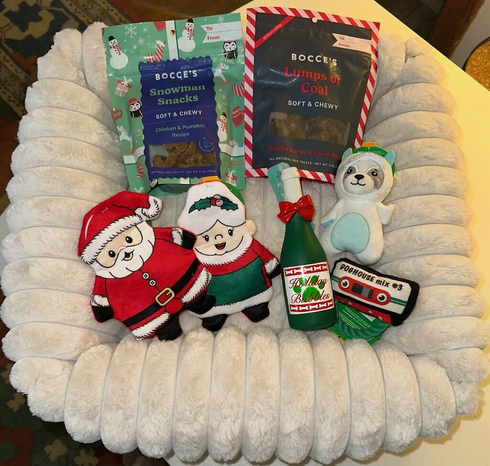 14: Bedside Comfy ped bed for extra small_small dog