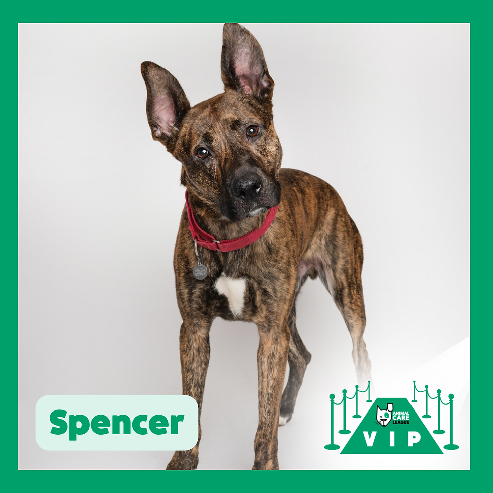 Spencer