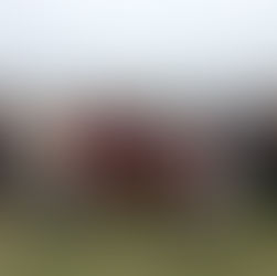 ソフトボール大会優勝