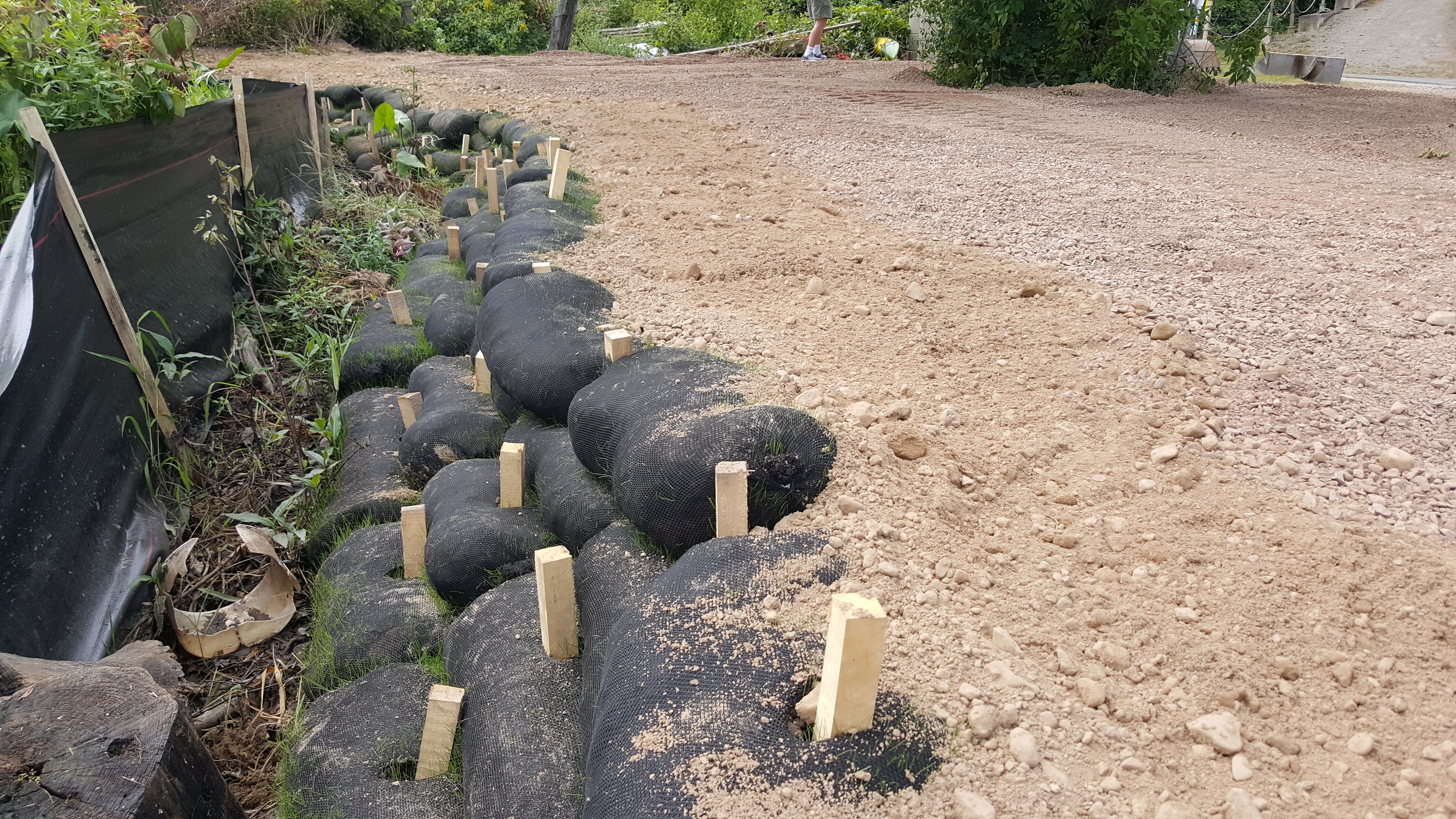 Living Retaining Wall