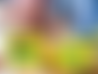 Atelier nutrition & cuisine : bien vieillir en gardant le plaisir de manger