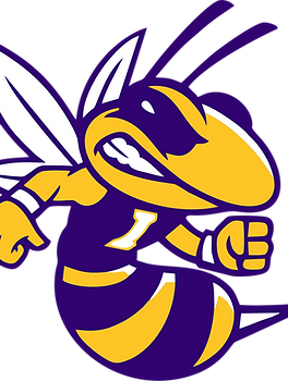 yellowjacketlogo.png