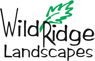 wildridge_logo.png