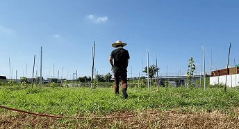 「循環型農業」による完全無農薬・有機栽培