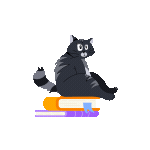 Curious Cat Plan