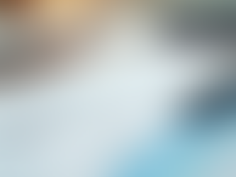 Fraud Risk Assessment: Identifying Financial Vulnerabilities