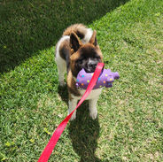 Link 6 mo