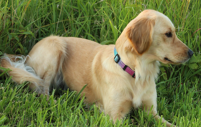 Oaklee Aug 24 side profile_edited.jpg