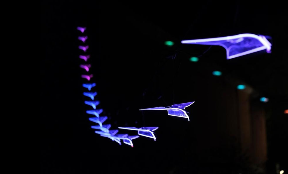 plane background.jpg