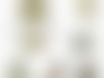 今年流行りのピスタチオcolorは何色と合わせる?