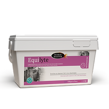 Equilyte - Horse Master