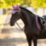 Bonnet anti-mouches Loire Mallow - LeMieux