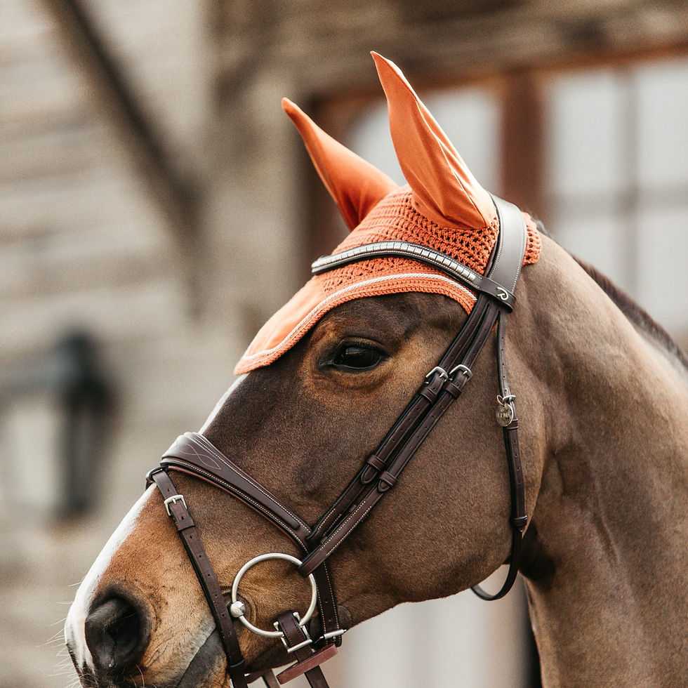 Miniature : Bonnet Wellington Velvet Orange - Kentucky Horsewear