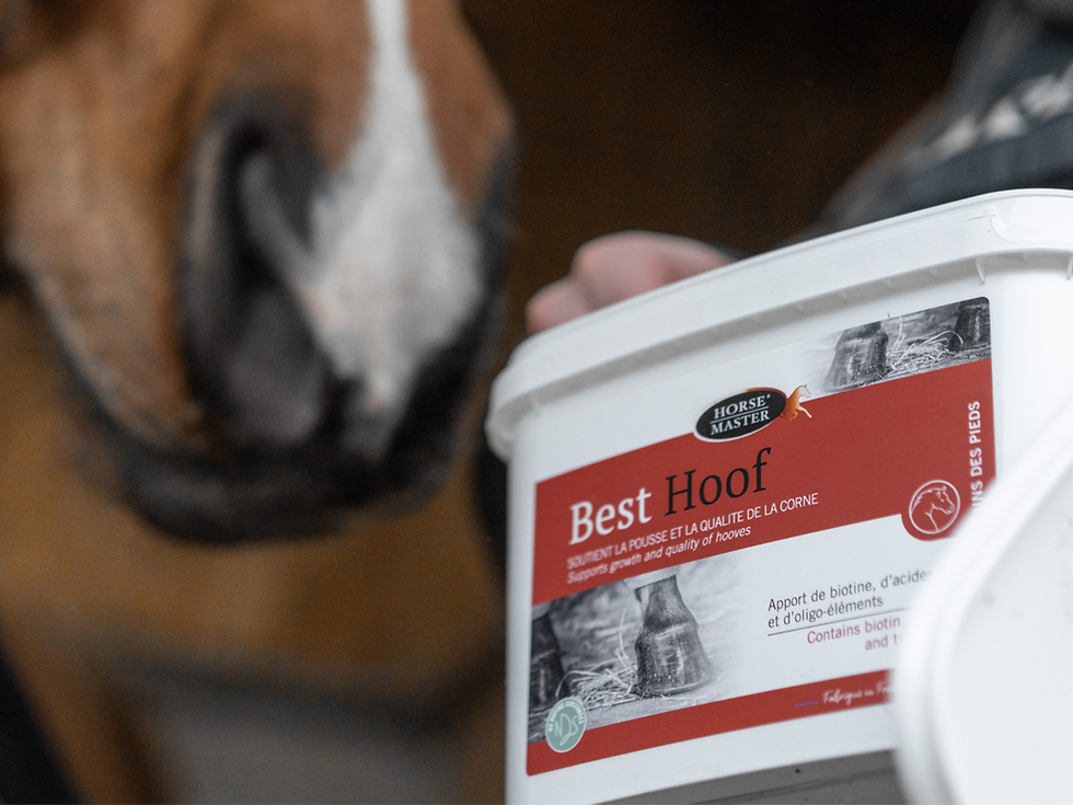 Quelle biotine choisir pour son cheval ?