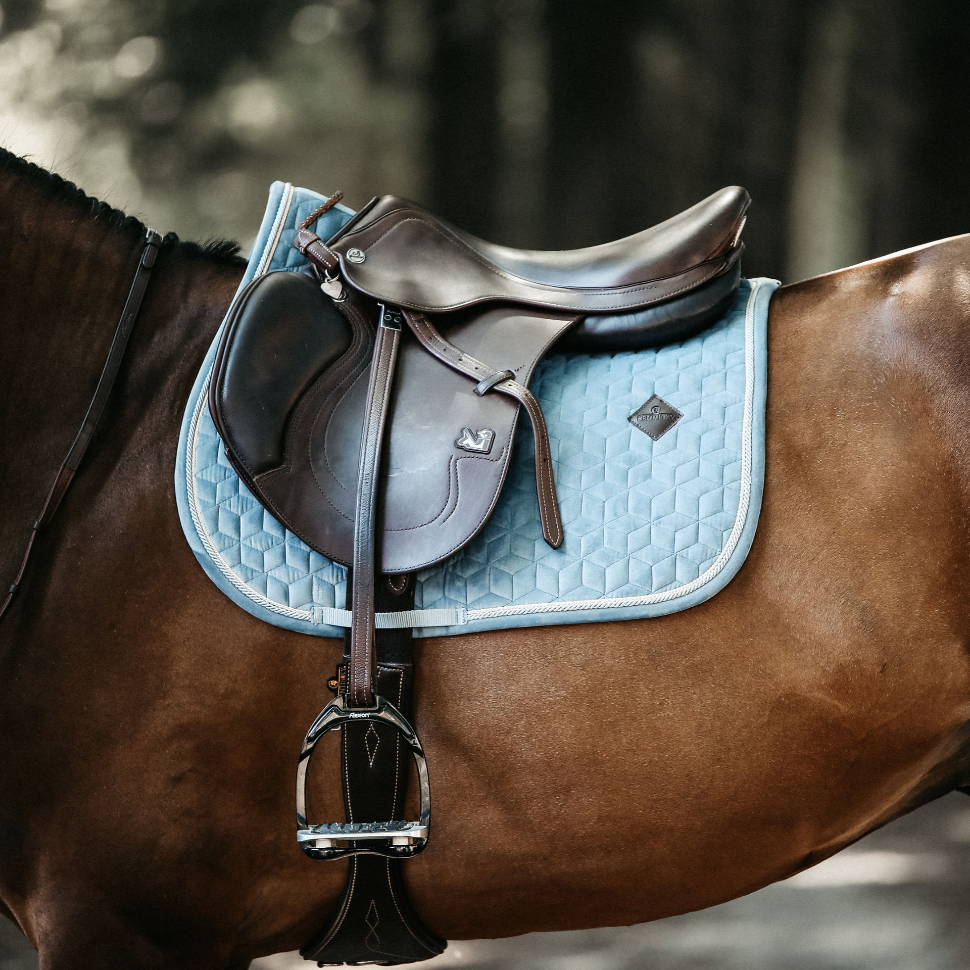 TAPIS VELVET BLEU CLAIR KENTUCKY HORSEWEAR