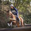 Miniature : Jument de 9 ans - Consul DL VIE Z x Utika de la Coquerie