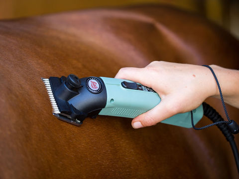 Quelle tondeuse pour chevaux choisir ?