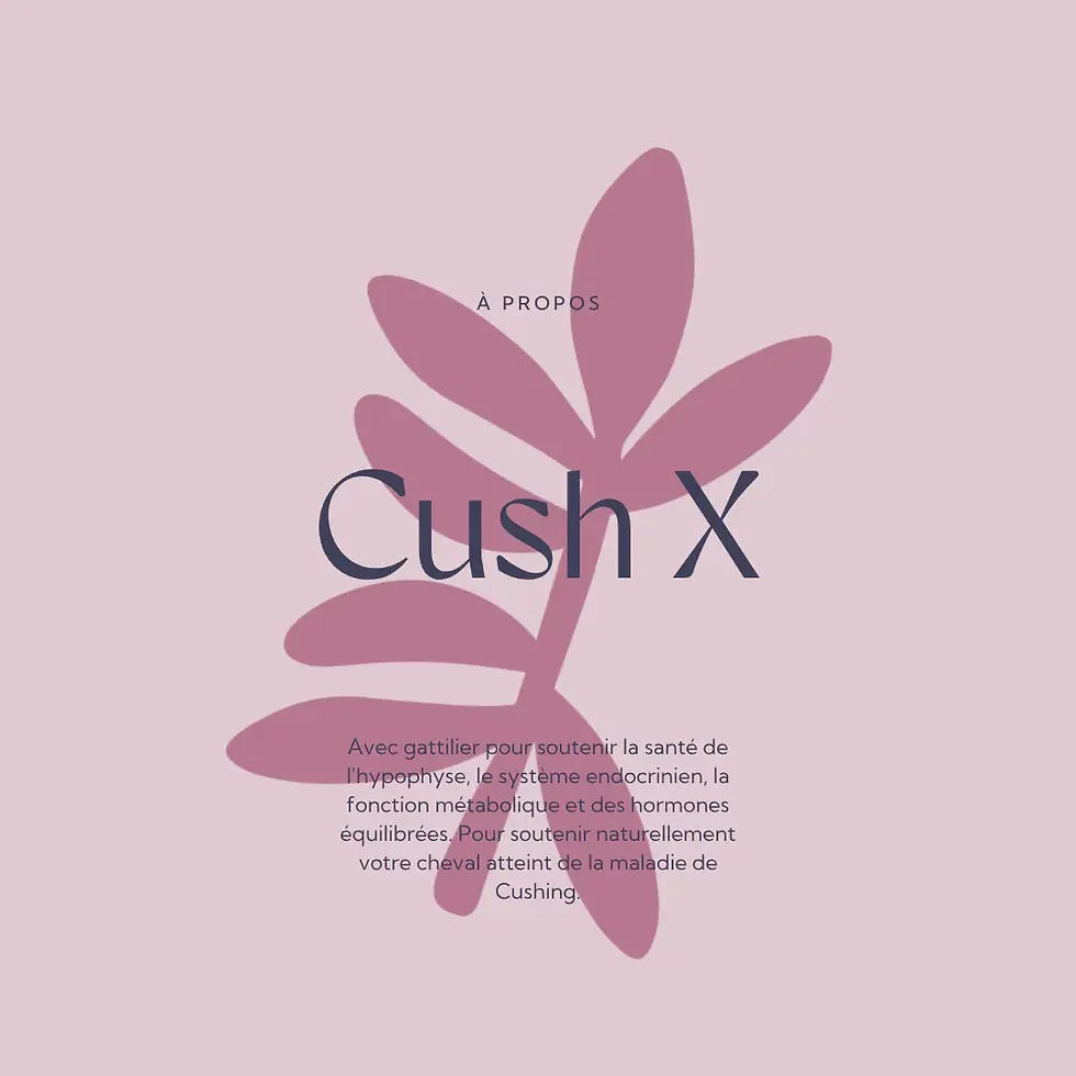Thumbnail: Cush X Liquide - Hilton Herbs