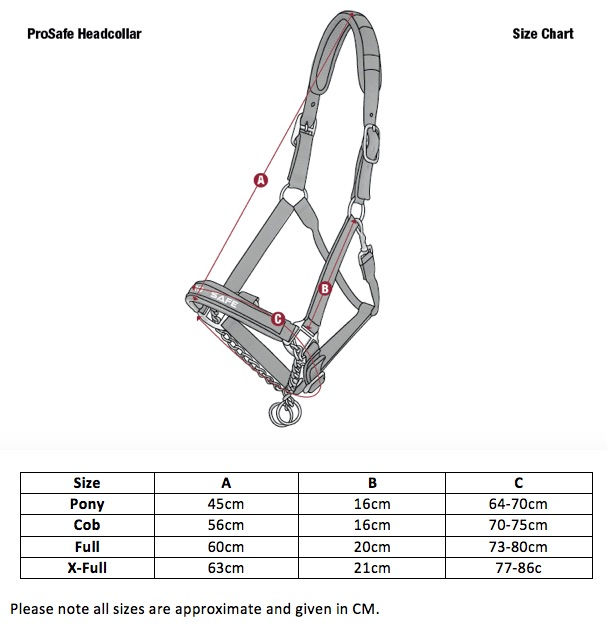 Miniature : Licol ProSafe Black - LeMieux