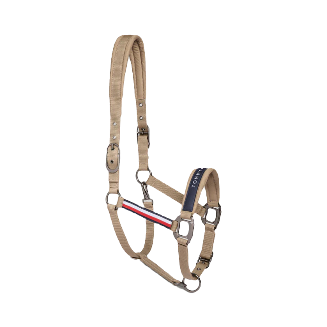 Licol Lincoln taupe  - Tommy Hilfiger