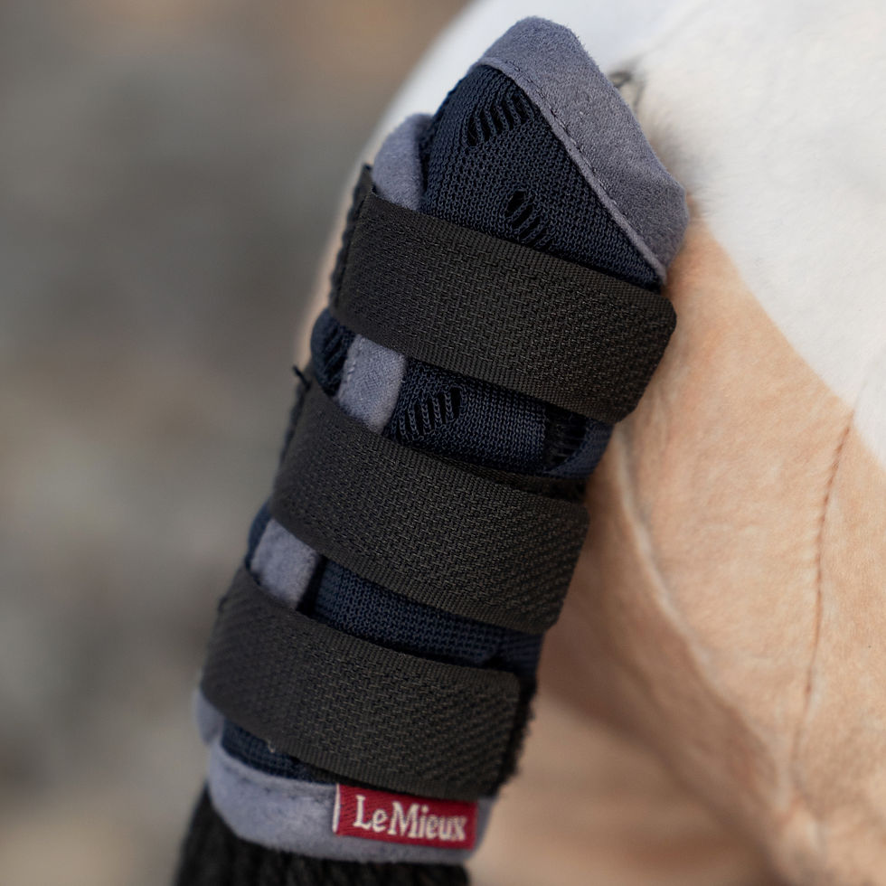 Thumbnail: Set de transport Mini Pony Navy - LeMieux