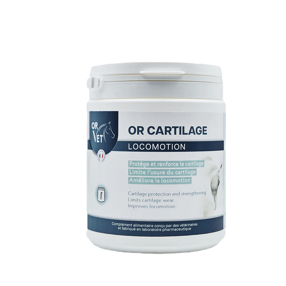 Or Cartilage (avec MSM) - Or Vet