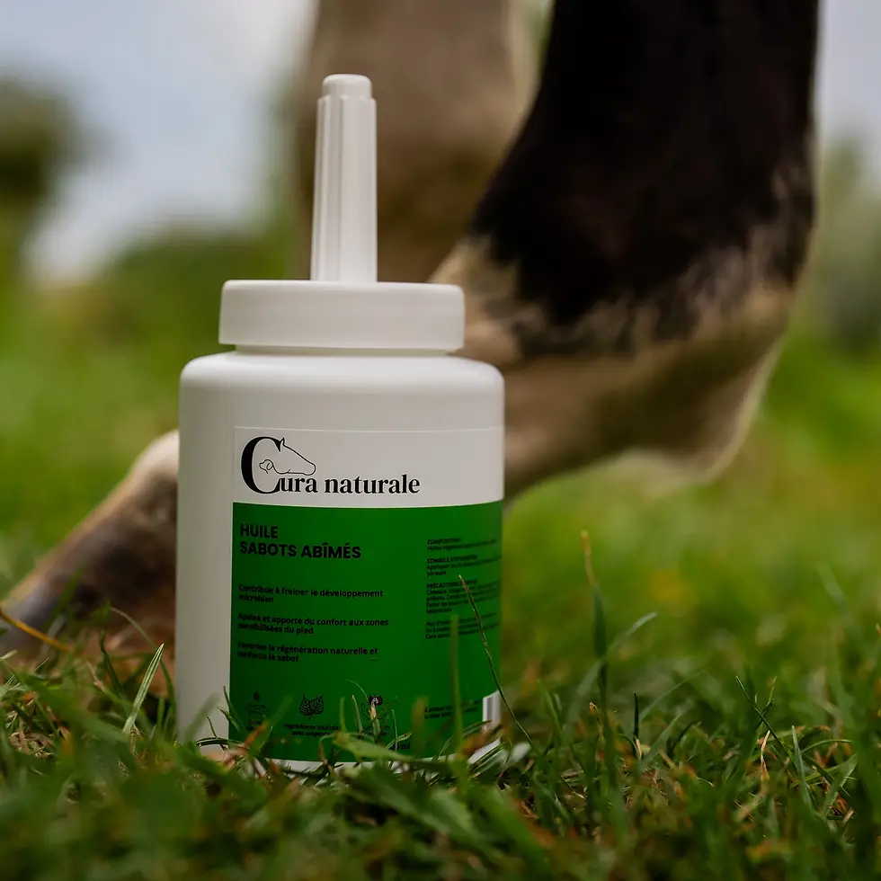 Thumbnail: Huile sabots abîmés - Cura Naturale