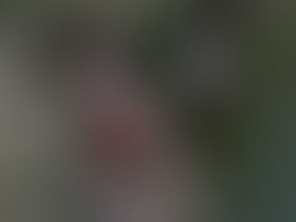 Les indispensables pour une balade réussie