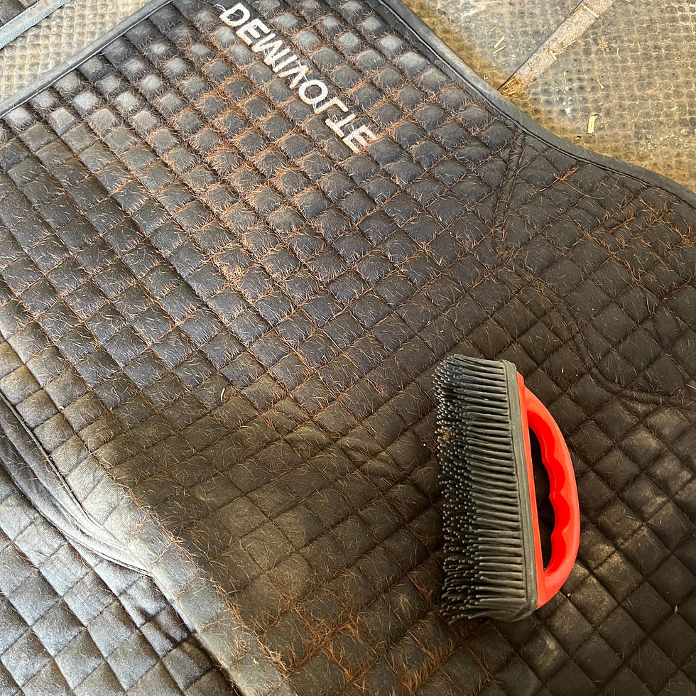Nos astuces pour nettoyer vos tapis et couvertures pour chevaux