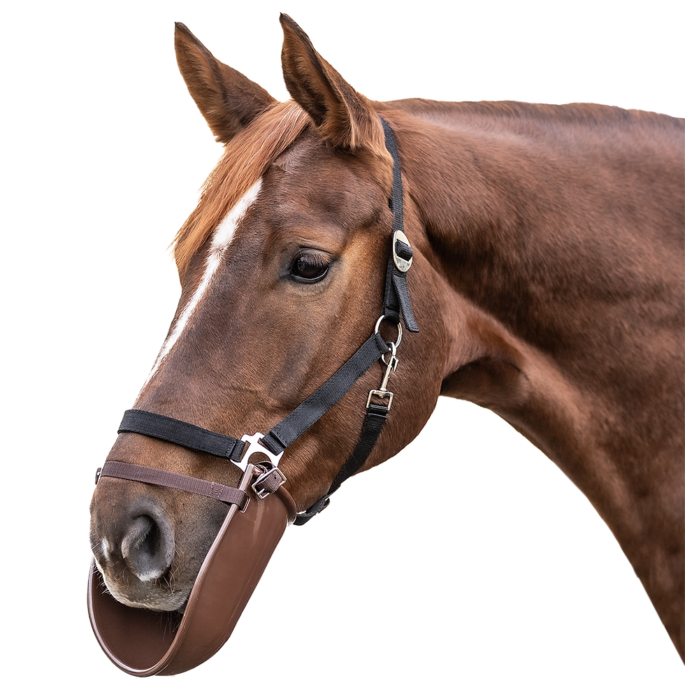 Bavette de couverture - Waldhausen