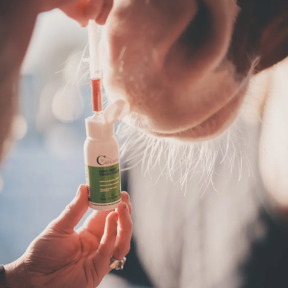 Complément trouble digestif - Cura Naturale