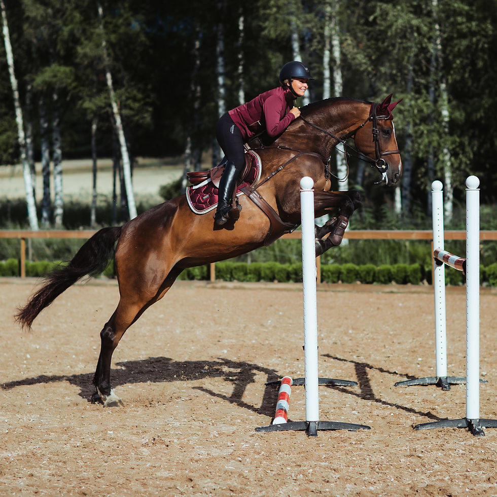 Thumbnail: Veste Polaire Merlot Crystal Gold - Equestrian Stockholm
