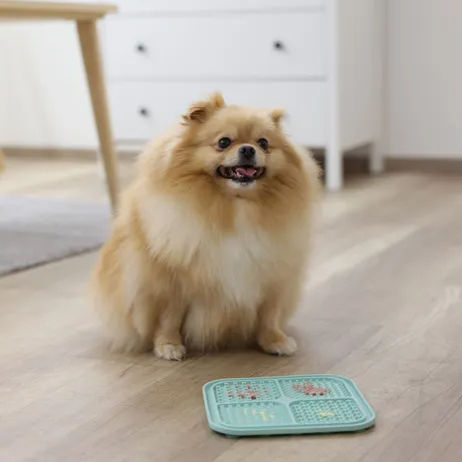 Thumbnail: Tapis à lécher pour chien - Kerbl