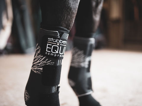Chaussettes de compression pour chevaux EQUI Compress : comment les mettre ?