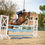 Miniature : Jument de 9 ans - Consul DL VIE Z x Utika de la Coquerie