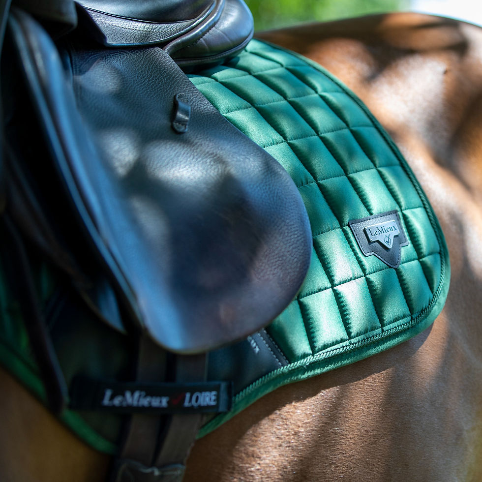 TAPIS DE SELLE LOIRE CLOSE CONTACT LEMIEUX