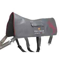 Heated Massage Mat - Equilibrium