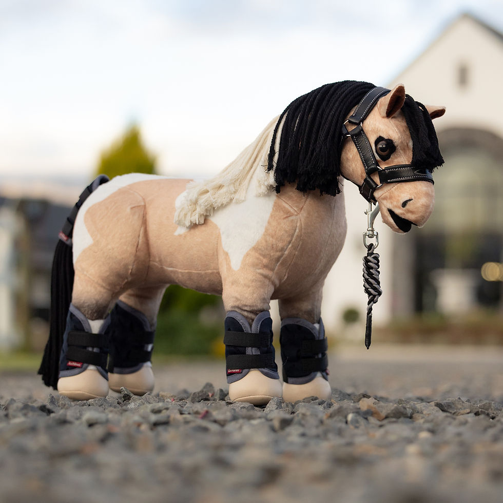 Set de transport Mini Pony Navy - LeMieux