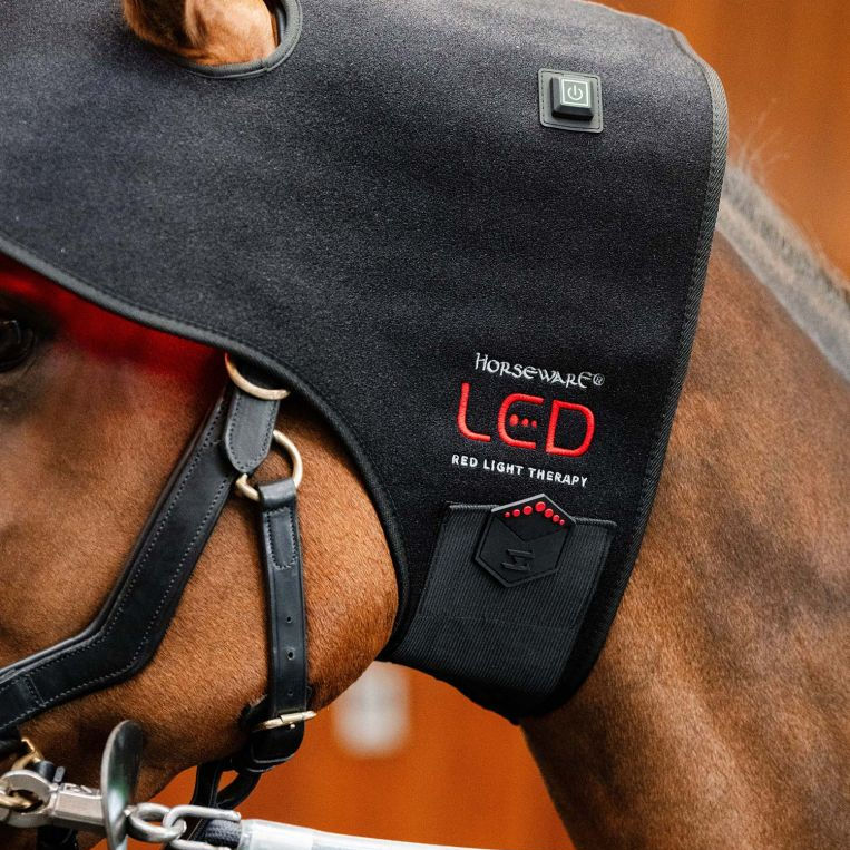 Thumbnail: Bonnet de thérapie par lumière rouge LED - Horseware