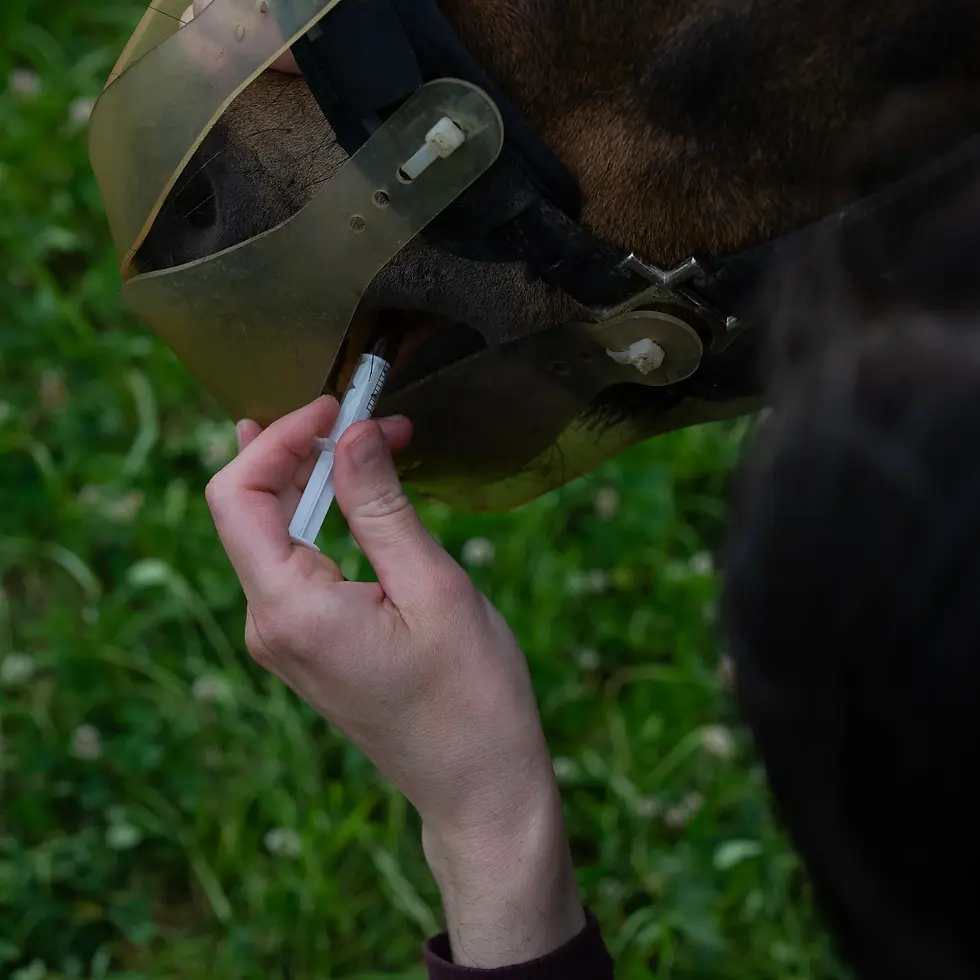 Thumbnail: Aliment complémentaire soutien métabolique - Cura Naturale