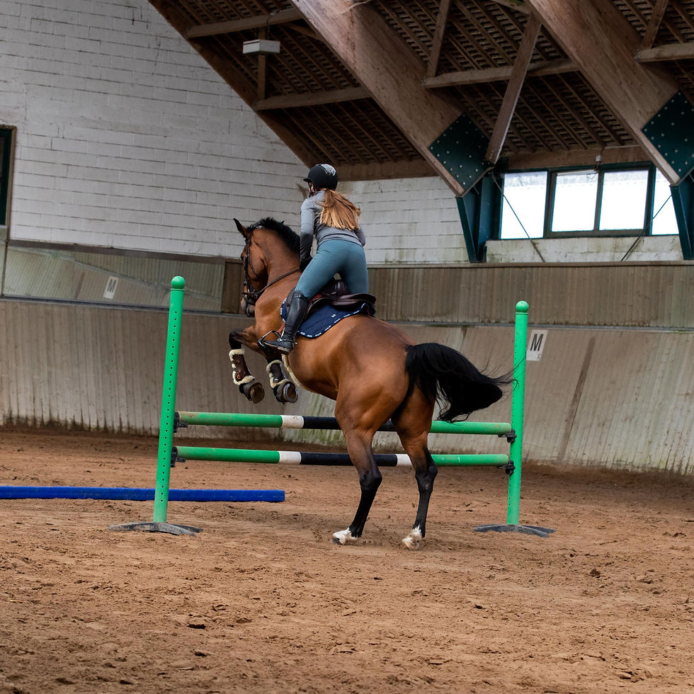 Thumbnail: Tapis de Selle Love GEM Bleu - GEM