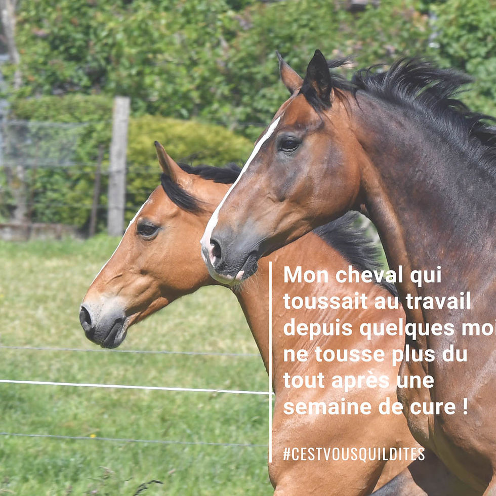 Miniature : Natural’Breath - Natural'Innov