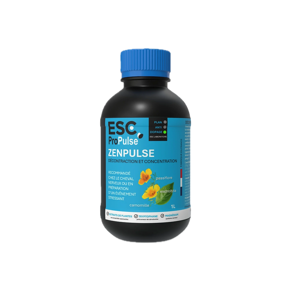 Zenpulse - ESC Propulse