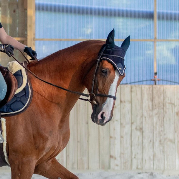 Miniature : Bonnet Royal Classic - Equestrian Stockholm