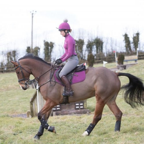 Miniature : Toque Plum - LeMieux