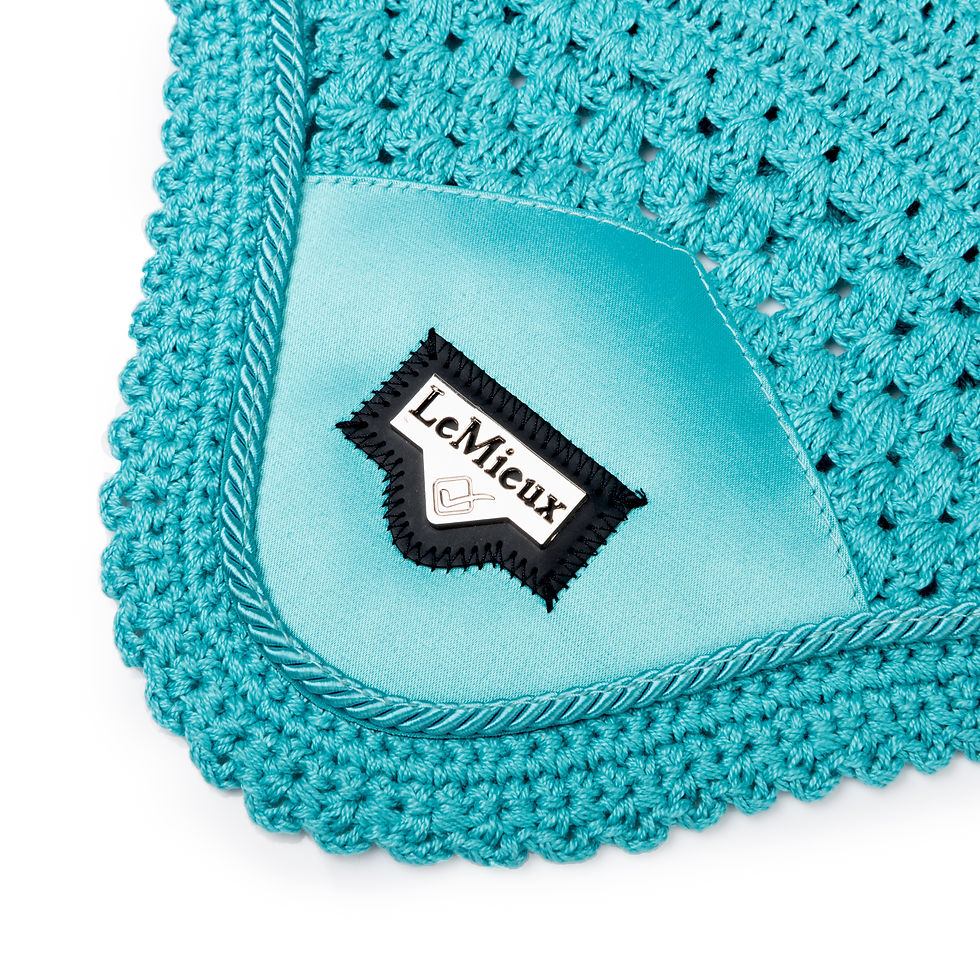 Thumbnail: Bonnet Loire Azure - LeMieux
