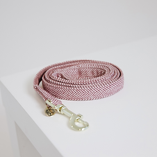 Laisse pour Chien Laine Rose - Kentucky Dogwear
