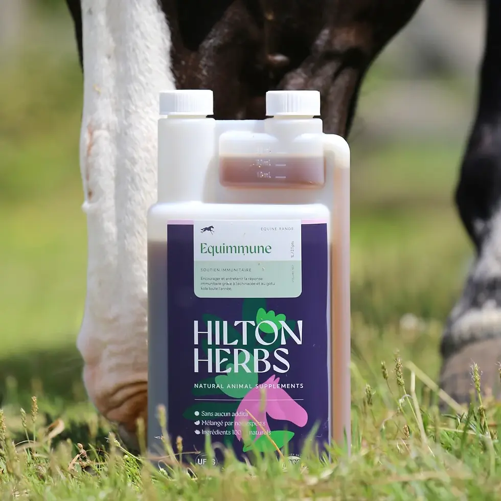 Thumbnail: Equimmune Liquide - Hilton Herbs